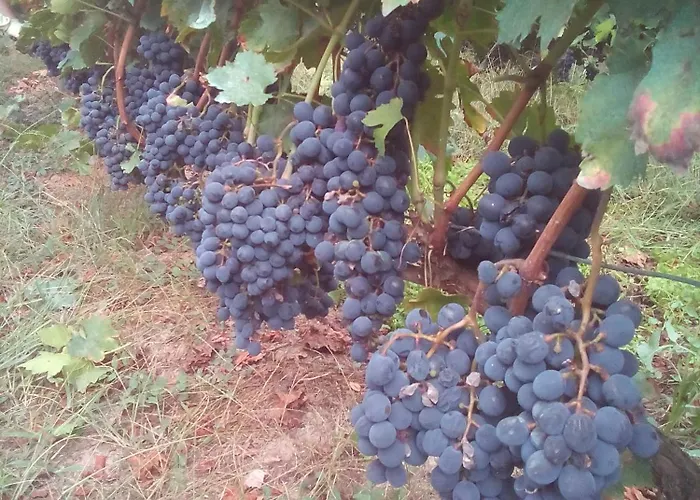 A Nosa Casa 2 Belesar